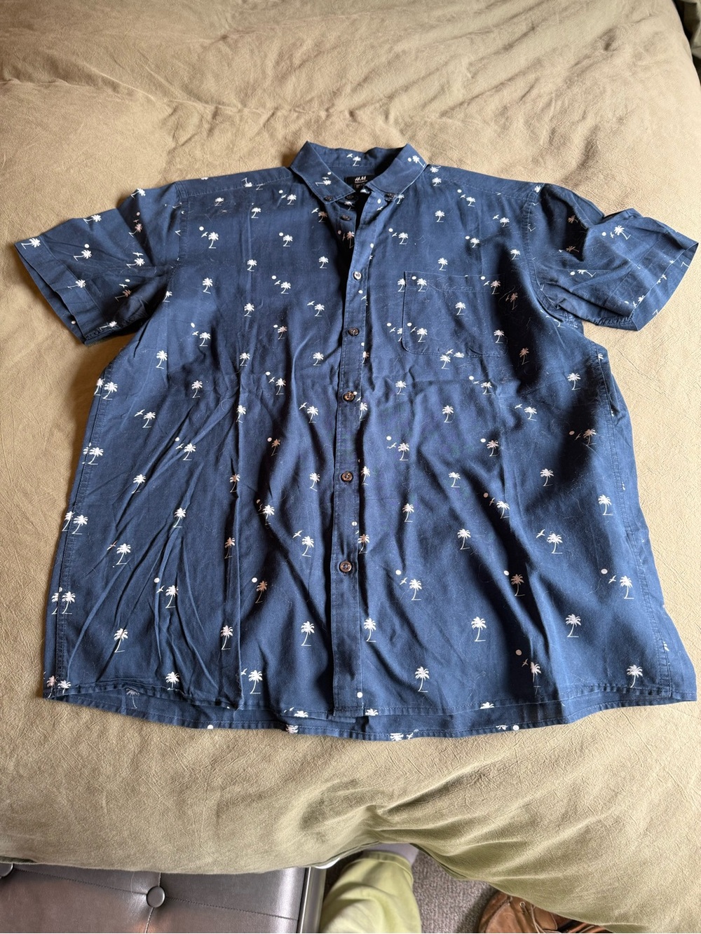 Short Sleeve Collared Button Down